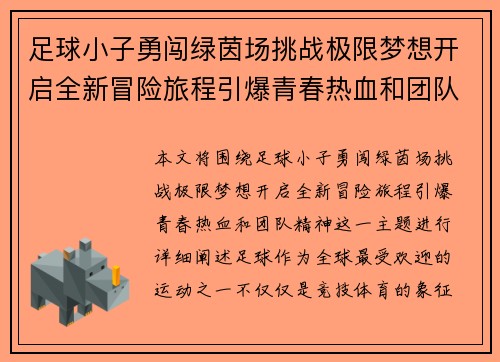 足球小子勇闯绿茵场挑战极限梦想开启全新冒险旅程引爆青春热血和团队精神